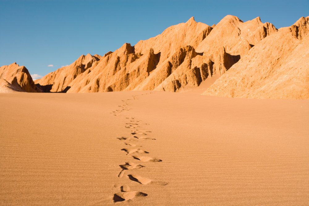 Lost In The Desert An Arizona Court Takes A Wrong Turn On Interpreting