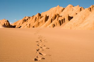 iStock-922518158-desert-lost-300x200