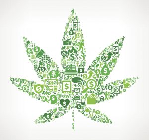 cannabis insurance