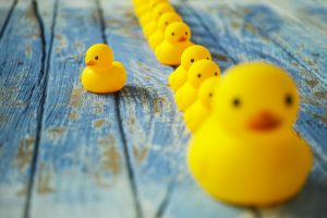 One large yellow rubber duck with many smaller ones following it