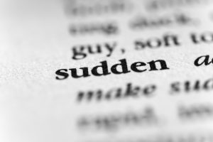 sudden-montrose-482823522-300x200